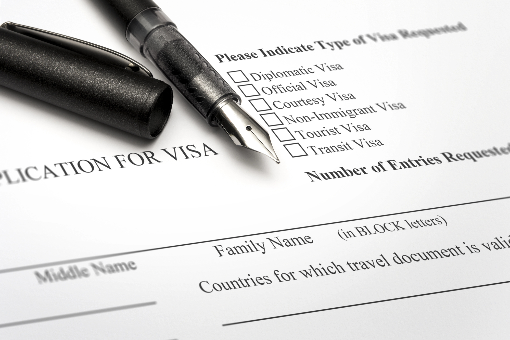 Visa Application